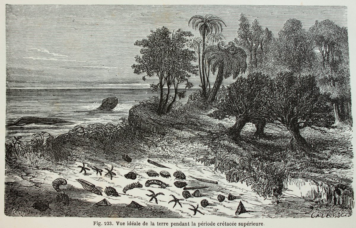 The early history of mosasaur  #paleoart is pretty darn interesting. After their discovery in 1764, it seems to take 90 years(!) for someone to attempt to reconstruct one. Here's the 2nd oldest restoration I know of, from Riou's 1863 book La Terre avant le déluge.