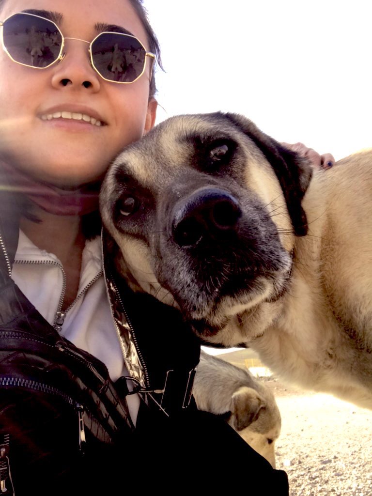 feyzaklcrsln's tweet photo. Neeee demek aç sokak hayvanı kalmayacakmış. Bunun şerefine bir selfie çekelim hadi Feyza💙 Sizde bu masumların karnı tok uyusun diyorsanız sadece @PawGuardsTr yi takip etmeniz yeterli. #pawguards #sokaktakicanlar #sevsevil https://t.co/CqRzaiVloM