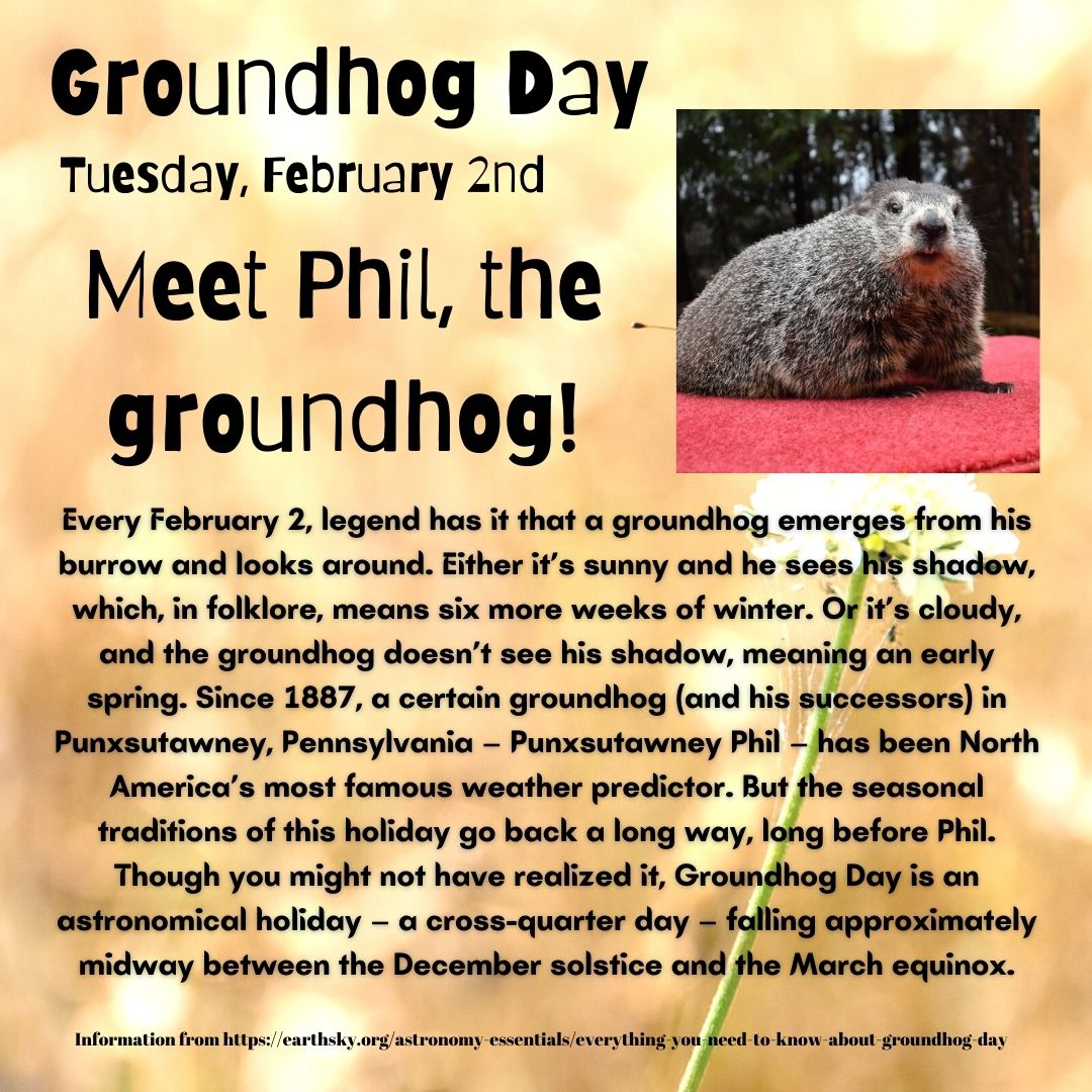 GladwinLibrary's tweet image. This year you can watch Phil&apos;s weather prediction online!
How to watch Groundhog Day 2021:
– groundhog.org
– Punxsutawney Phil’s Facebook
– Punxsutawney Phil’s Youtube
– PCN
– Satellite coordinates

#gladwinlibrary
#groundhogday2021
