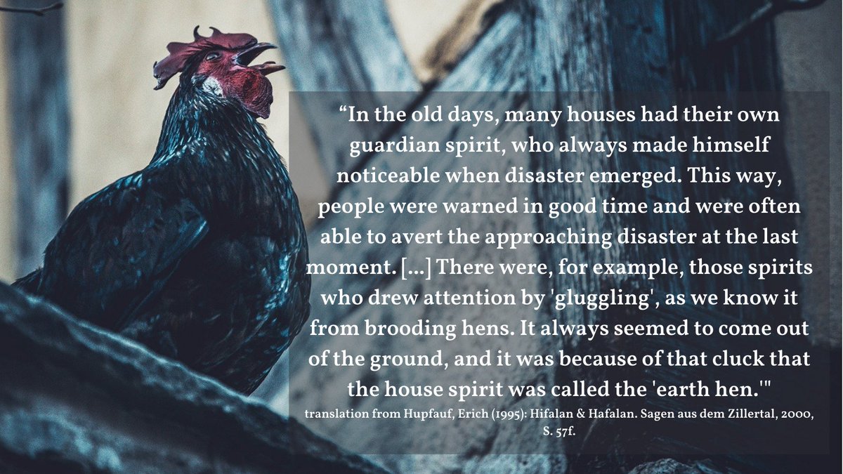 Household spirits often appear in the form of animals, e.g. cats, calves, dogs, three-legged hares, corvids, insects, worms, rats, wet chicken, toad-like creature or snakes: mostly in black with red, flaming eyes. 
#folklorethursday
Preparation: Tina Tüpke 
Photo: Hannah Gritsch