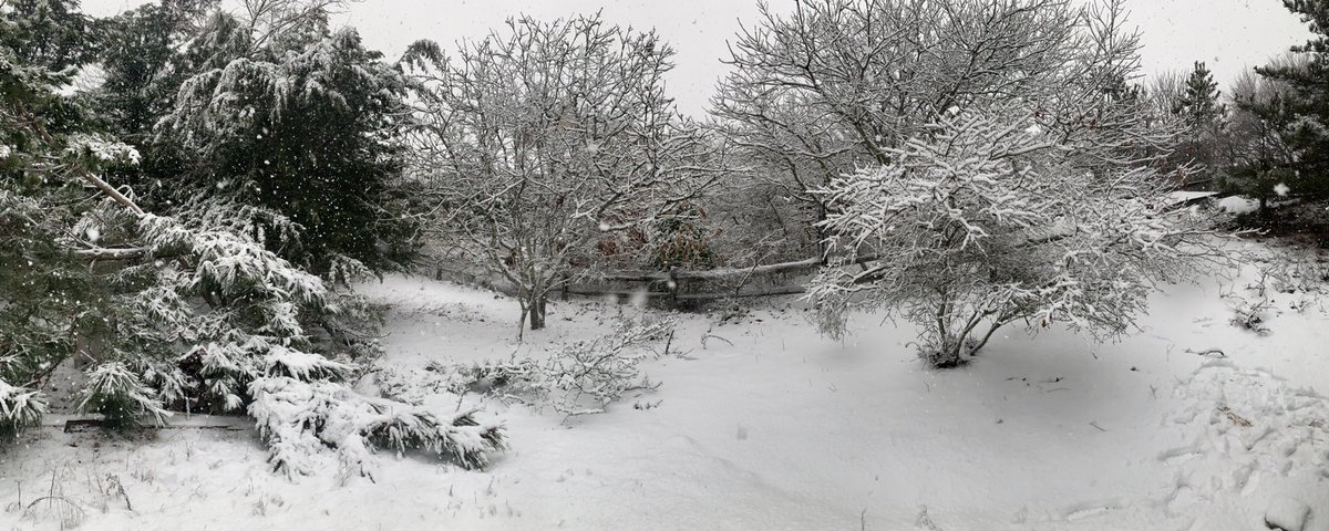 Karen Freidus tweet media