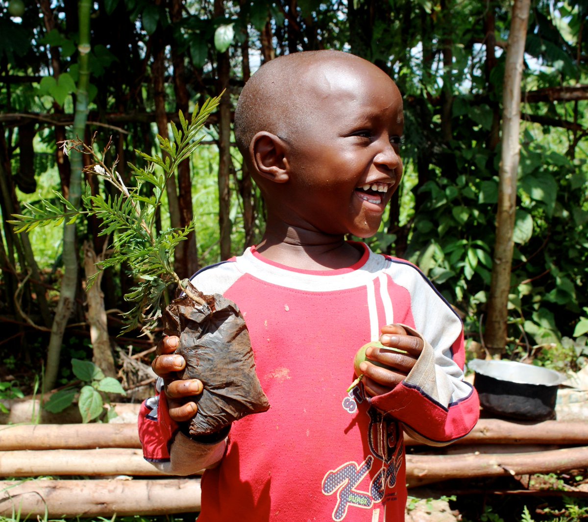 Treesftf's tweet image. Trees lead to a healthier planet and healthier kids! 

Thanks to you, #ForestGarden families are eating diverse, nutrient-rich foods all year long. 🍊 🥑 🍎 

#treesforthefuture