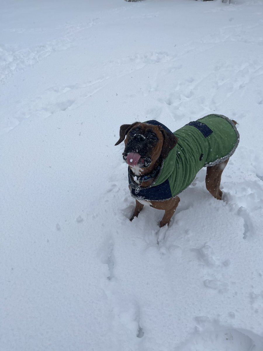 Nicole_J tweet media