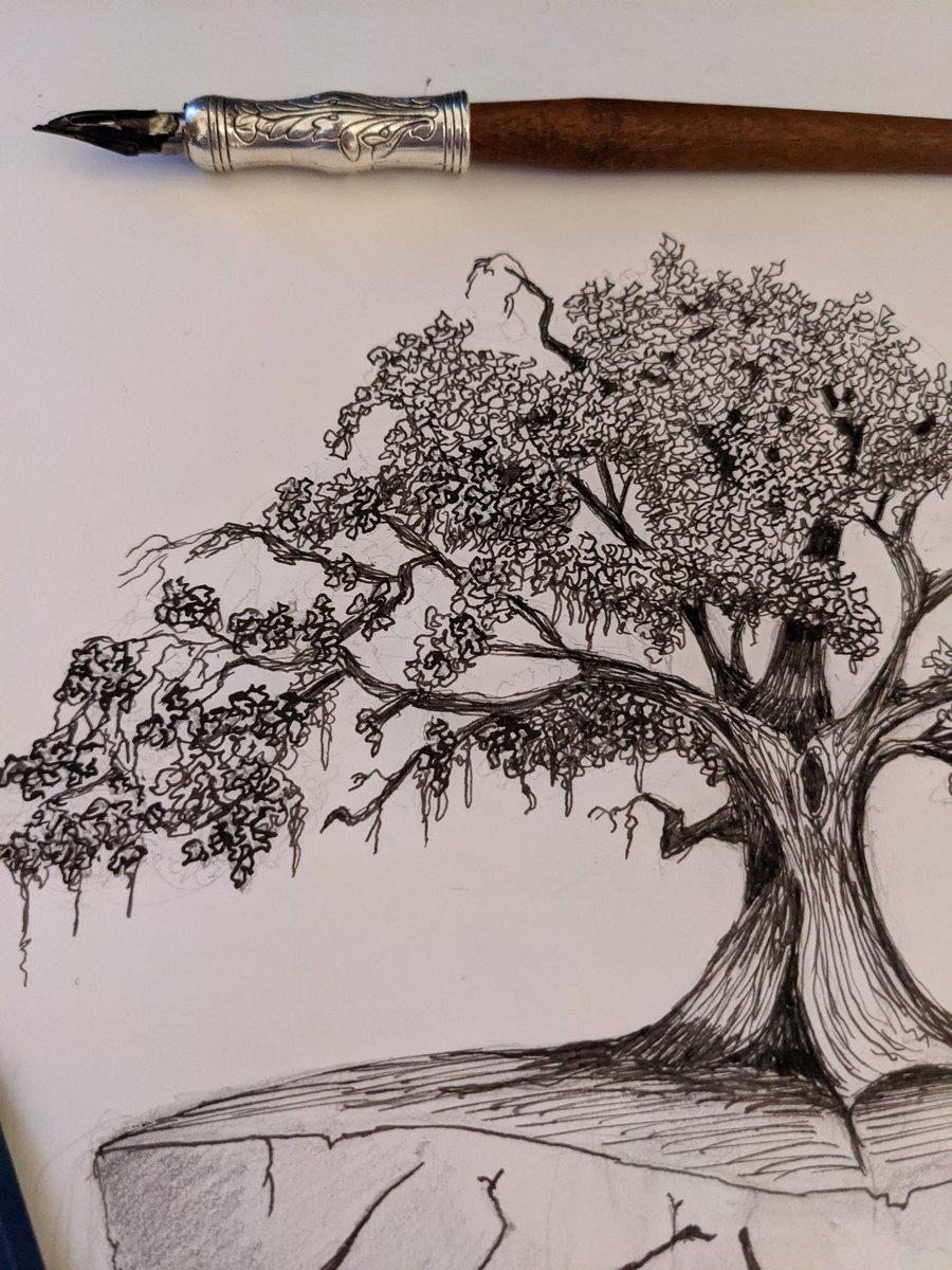 CaptainFurbosa tweet media