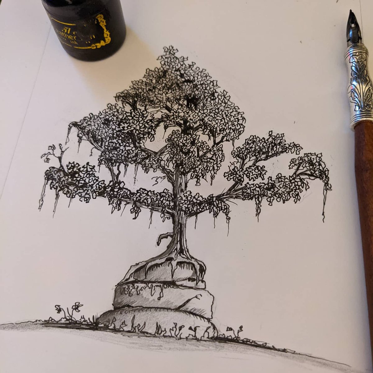 CaptainFurbosa tweet media