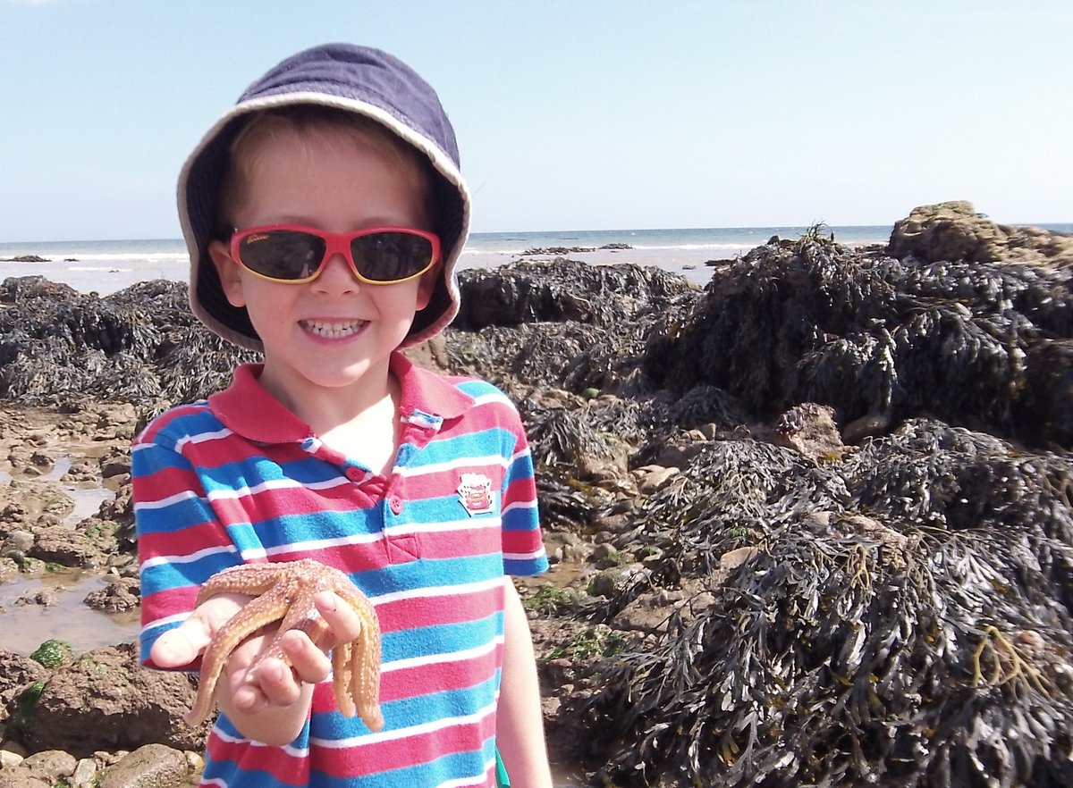 📢 <a href="/durhamwildlife/">DurhamWildlifeTrust</a> are recruiting! 

They're looking for an Intertidal Interactive Officer to inspire people about the Tyne to Tees shores and seas 🌊 

Check out the job role 👇. Deadline for apps is 15th Feb ⏰

ow.ly/ZEM750DlYKh