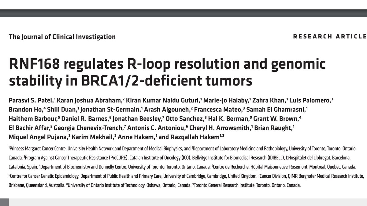 Parasvi Patel⚡ tweet media