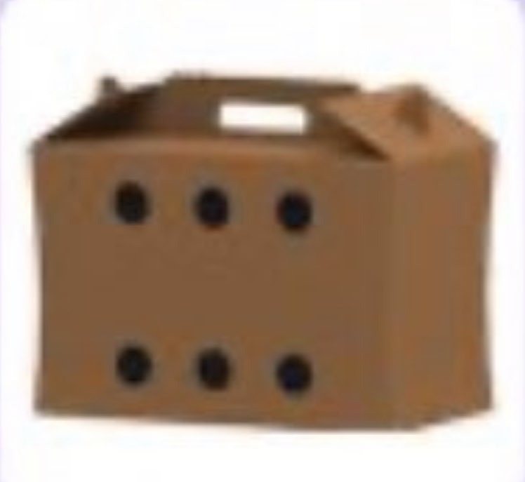 robloxadoptm31's tweet photo. Trading Rat Box from last years Lunar event #adoptmetrades https://t.co/FpSff1hAWp