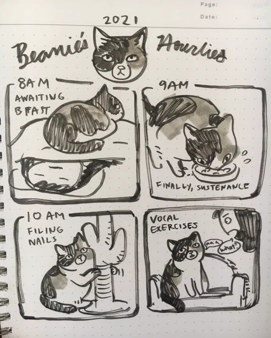 not much going on with me today so Im doing hourlies for my cat #hourlycomicday 