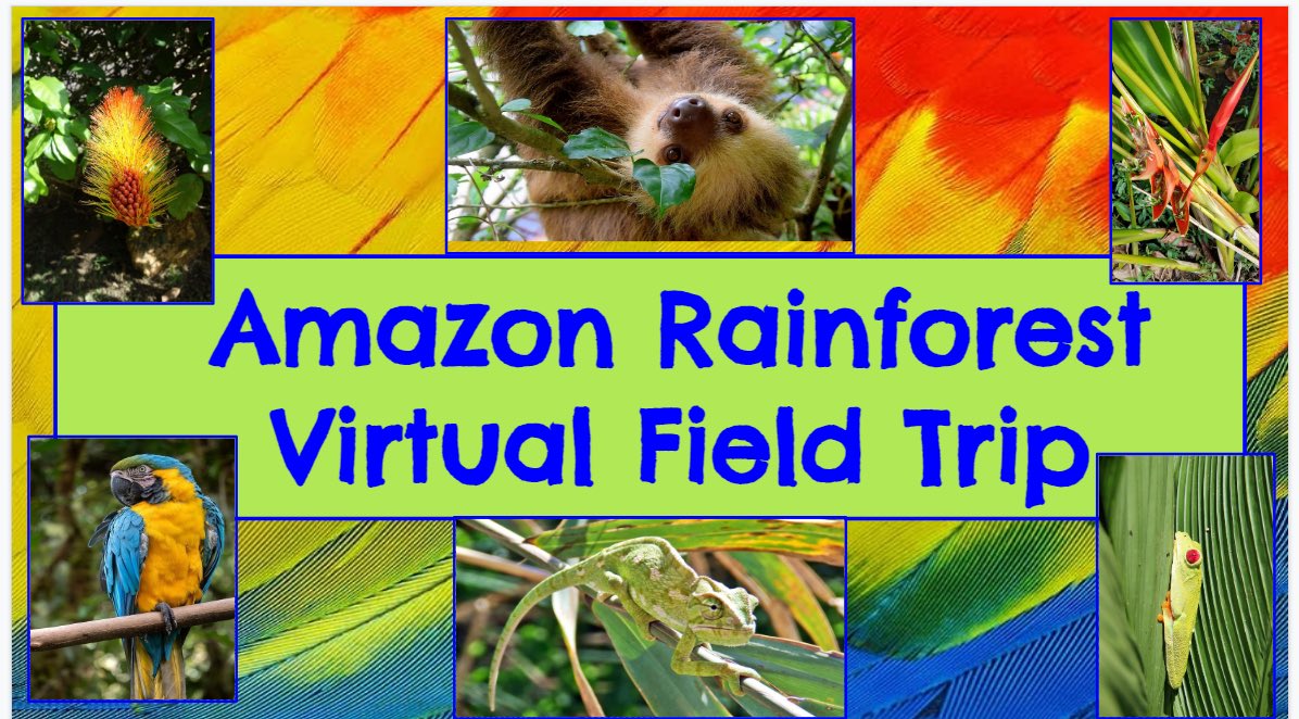 abby_offenbaker's tweet photo. ๐ Wow! @Mrs_Markusen @Ronczka_Hawks & Ms Shaw, yโall created a beautiful & engaging Virtual Field Trip as part of All Block today! Thank you! #TalentedTeammates #EngagedStudents #MakingConnections #Rainforest @HortonsCreekES https://t.co/l72e1BC7wI