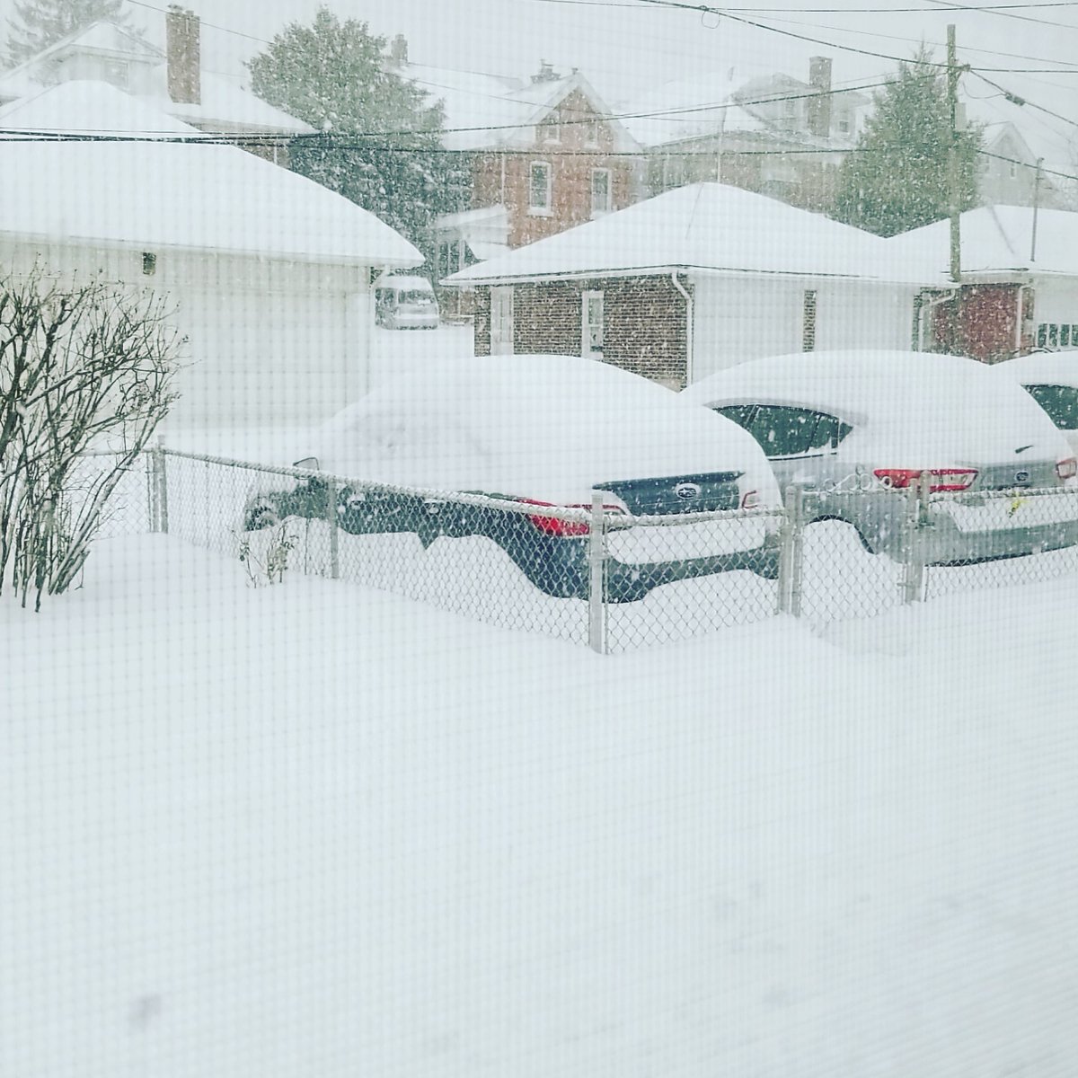 Jweida1's tweet photo. I'm not looking forward to cleaning off the cars. #SnowStorm2021 https://t.co/qGzd1ZQbZm