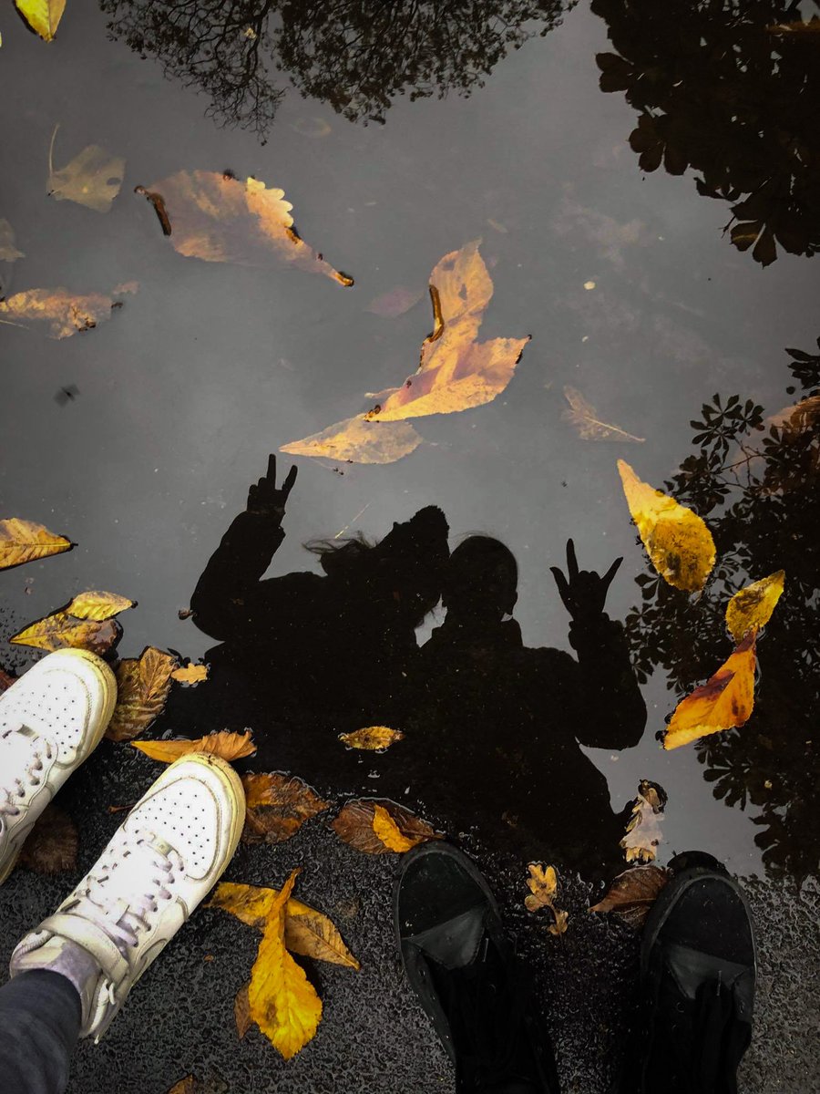 NATPICSs's tweet image. Rainy day .