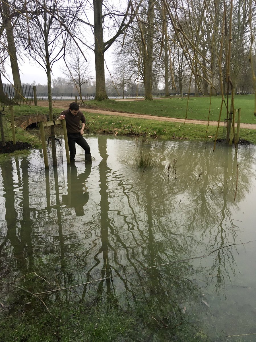 Elisa Cozzi tweet media