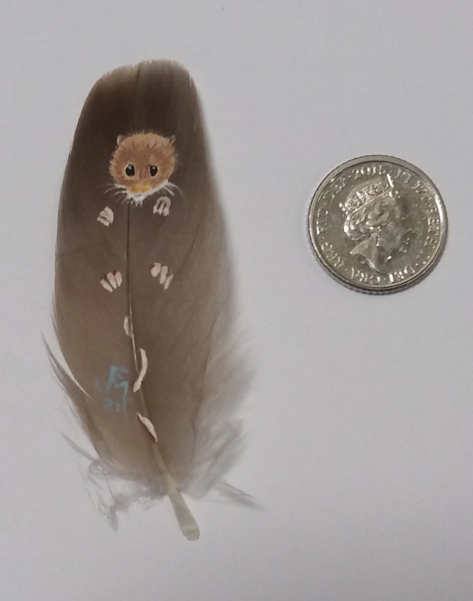 EggseteraS's tweet photo. My creative week... harvest mice peeping out, painted on feathers, shown with a 5p #mycreativeweek https://t.co/dYIl5kKbgz