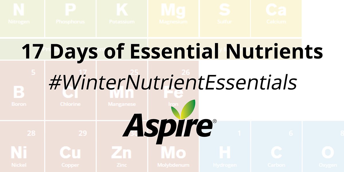 Aaron Stevanus tweet media