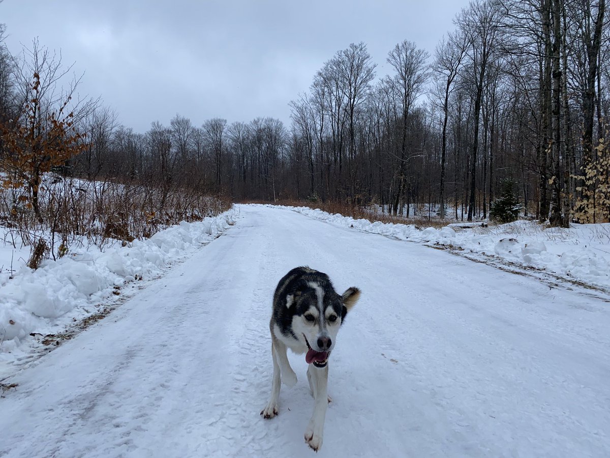 I followed Pepé up one more hill, and when I looked down she was on a road. The road home!