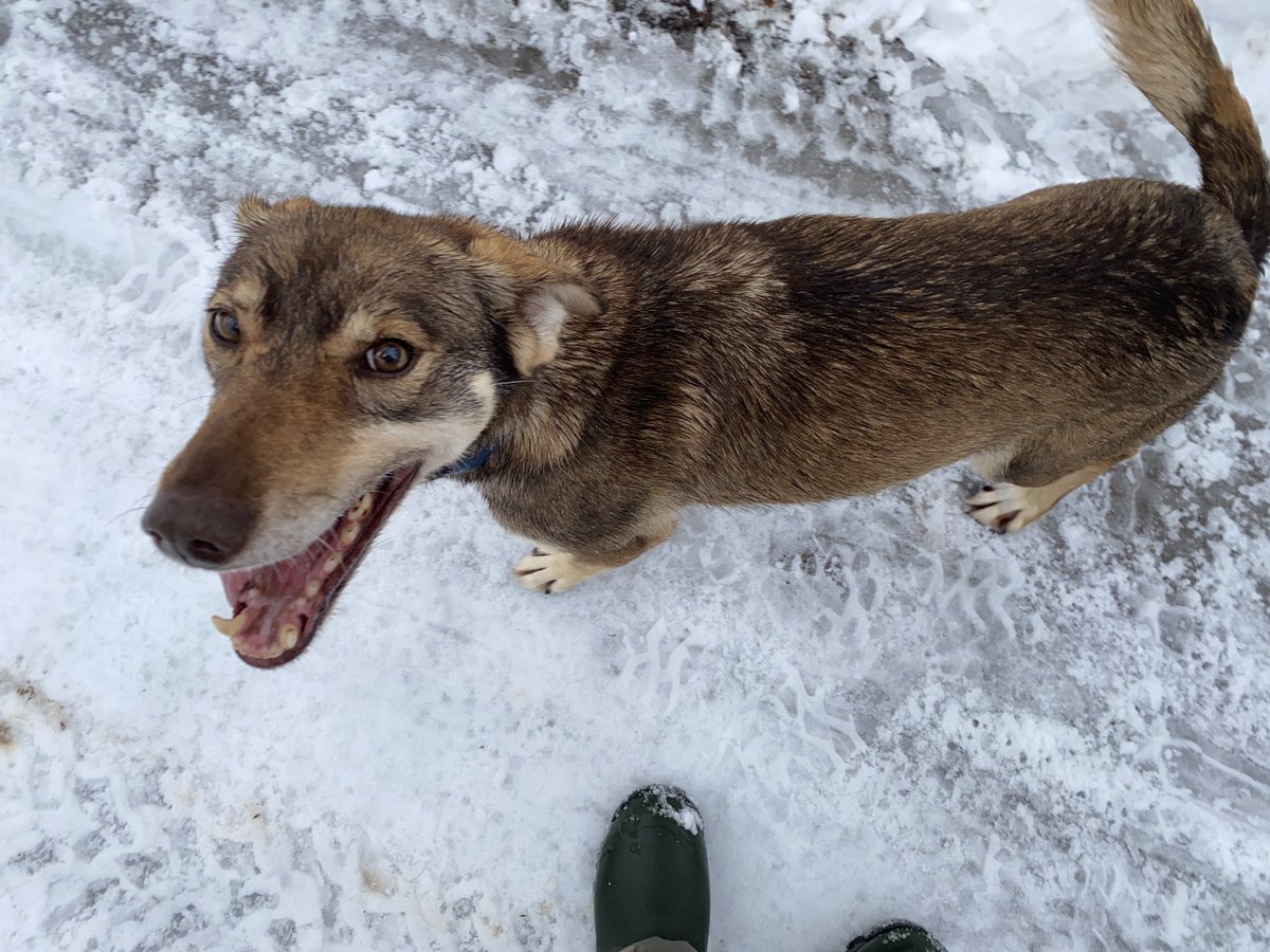 Before I get a chance to turn around, something runs smack into the backs of my legs.