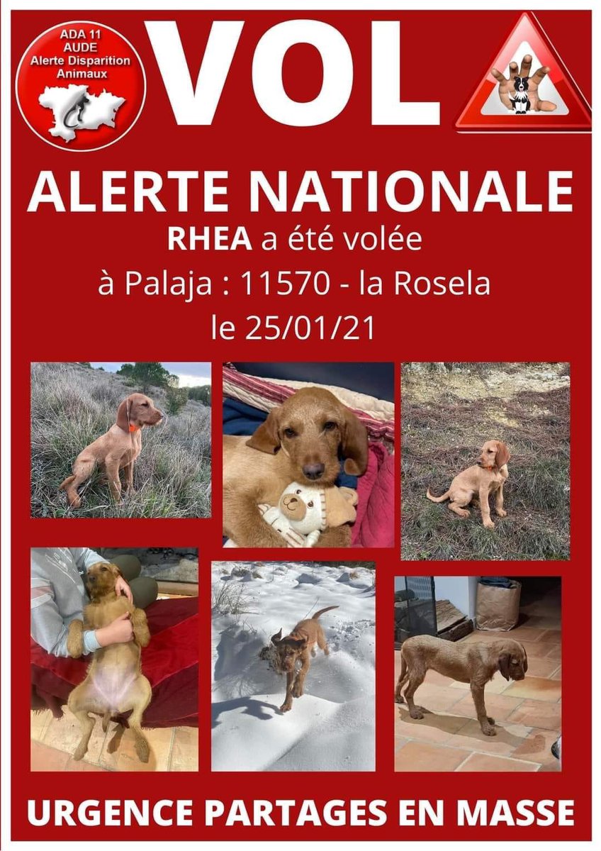 lea_rouquier's tweet photo. RT svp 🥺 https://t.co/SrhTeAapiK