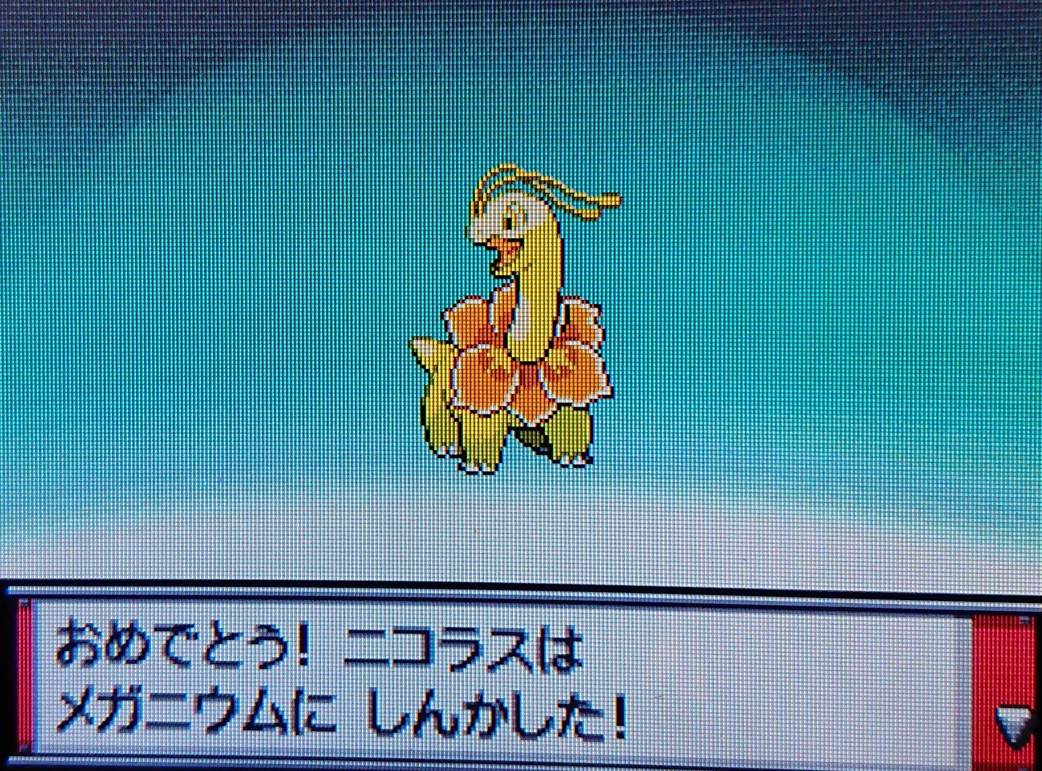 きりん ポケットモンスターハートゴールド ニコラスがメガニウムに進化 色違いポケモン T Co Ozxvqwdvzw Twitter きりん ポケットモンスターハートゴールド ニコラスがメガニウムに進化 色違いポケモン T Co Ozxvqwdvzw Twitter