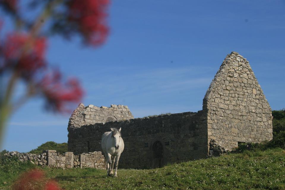 AranCamping's tweet photo. 🎶True you ride the finest horse...🎶🐴

#capall #inismór #aranislands #whenwetravelagain https://t.co/r0DtoVE2Ya