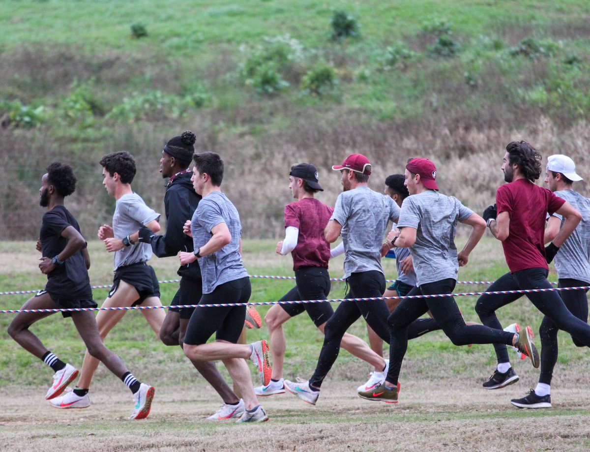 Florida State T&F/XC tweet media