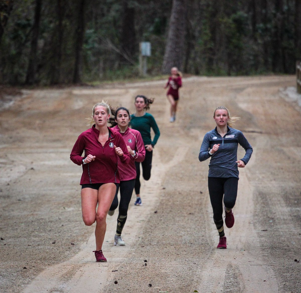 Florida State T&F/XC tweet media