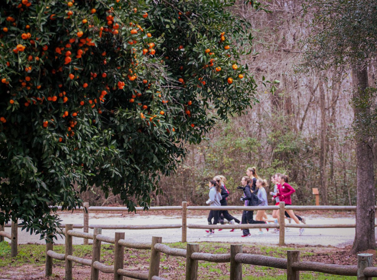 Florida State T&F/XC tweet media