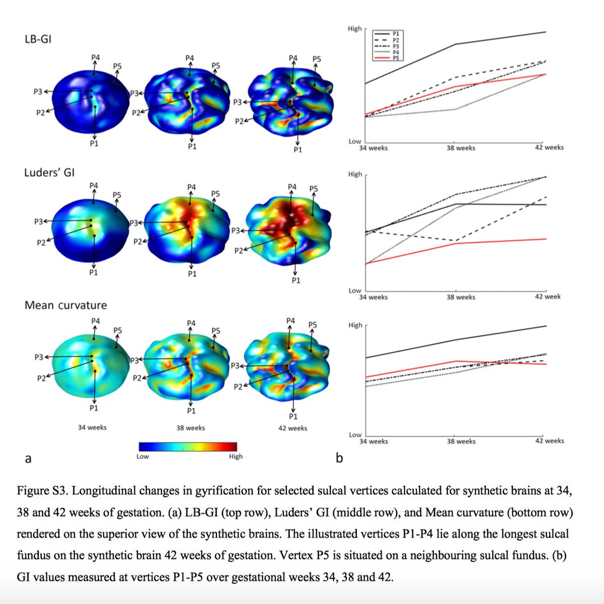 RShishegar's tweet photo. Our recent paper is out in NeuroImage! A new gyrification analysis approach with @LeighAJohnston @njahanshad @georgiou_nellie @gary_egan &amp; Fabrizio Pizzagalli @Mon_Bio_Imaging @turnerinstitute @KECKSchool_USC @TheFlorey @ehealthresearch @CSIRO 

Link: https://t.co/tkzIKN0aBI https://t.co/I5AaXrWRXW