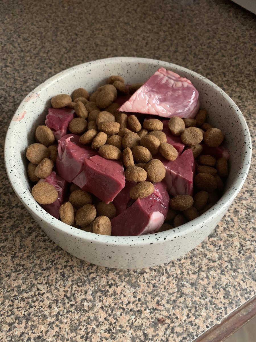 AlyxLion's tweet photo. When your Dog eats better then you do. Fresh meat every day and pellets that cost more then the meat. #humanitysBestFriend #KeepItFreah https://t.co/aSv9IpaL0k