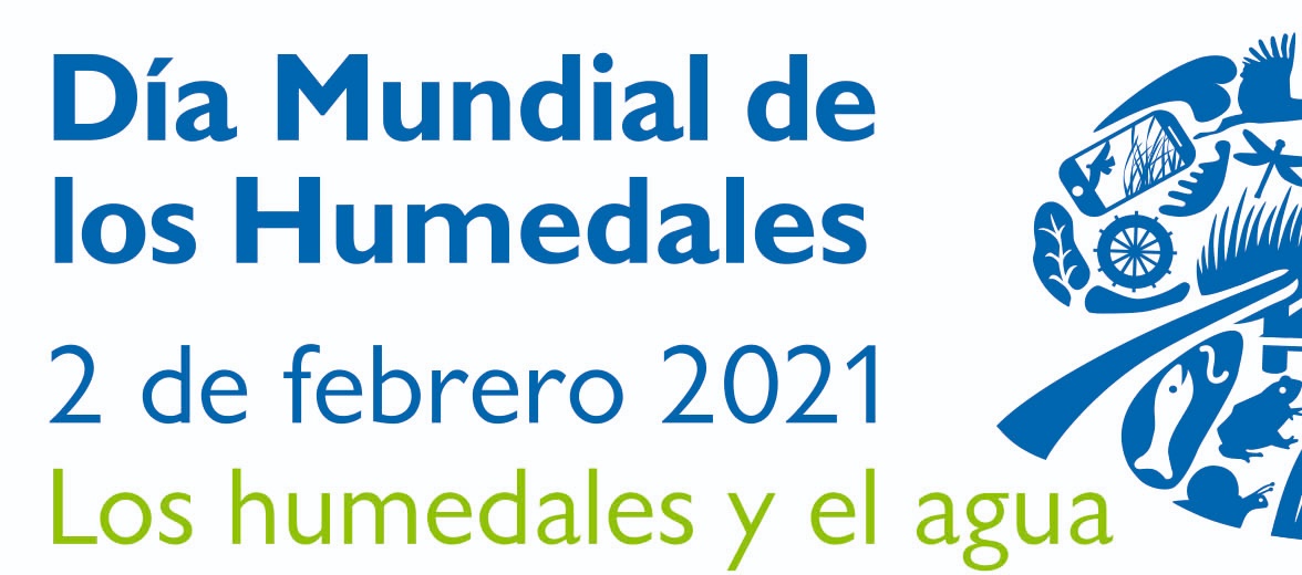CNGuardaparques's tweet image. El 2 de febrero de 1971 se firma la Convención Ramsar.

Chile adhirió en 1981 y cuenta hoy con 16 Sitios Ramsar.

En estos 50 años de la @RamsarConv confiamos que los esfuerzos por proteger estos vitales ecosistemas se multipliquen.

@SGuardaparques
#DiaMundialDeLosHumedales
