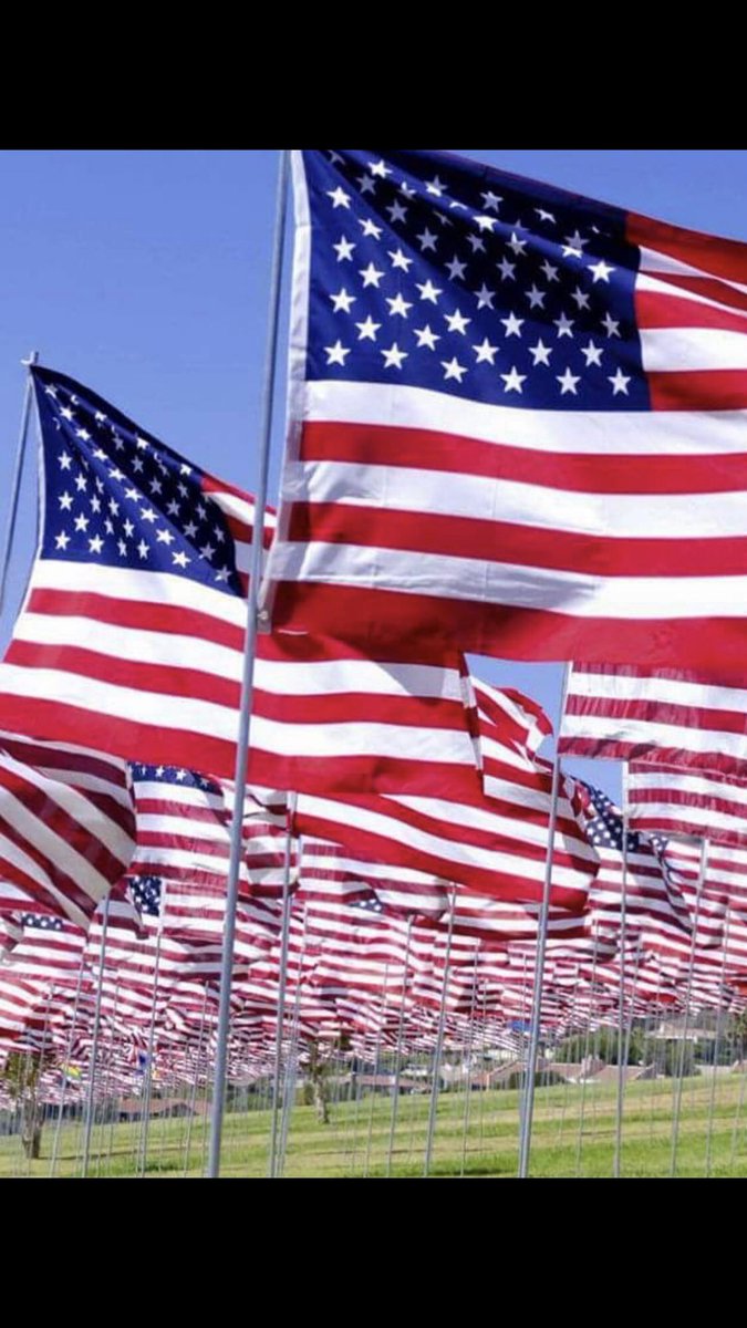 We stay strong together Reach out&mobilize when it’s time to make appearances bring flags during hearings & or events are happening that are Un Constitutional.