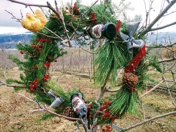 HowlingCider's tweet image. A Wassailing we will go... or should we say Wass&apos;howling!- mailchi.mp/4e1c6f87c877/w…