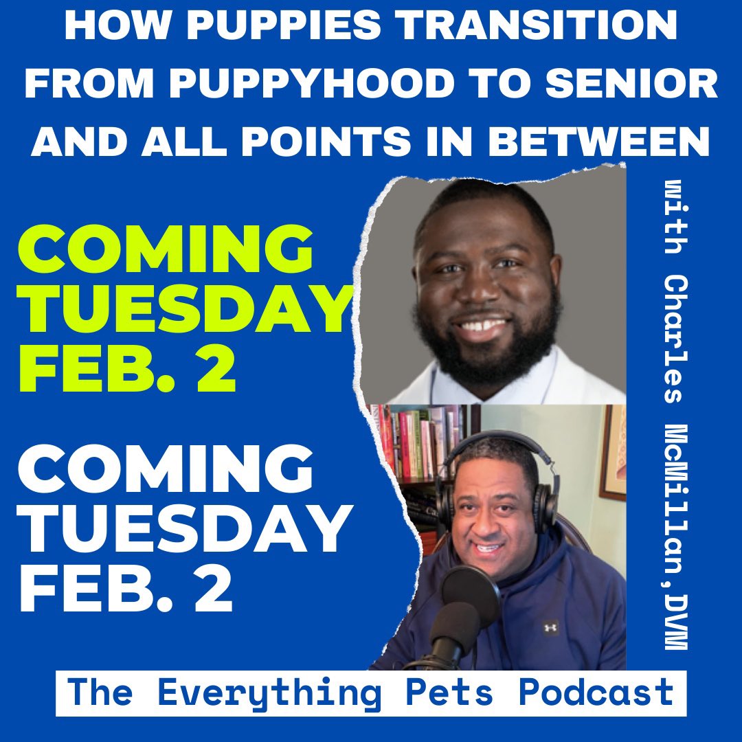 Everything Pets Podcast tweet media