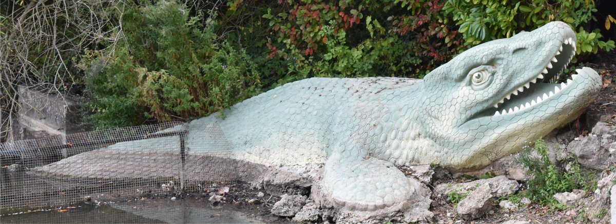 This image is interesting for being one of the only memetic followings of the  @cpdinosaurs Mosasaurus recon, which - as late as 1854 - might be the first mosasaur life restoration. Note the boxy head and laterally situated nostrils - uniquely Hawkinsian reconstruction choices.