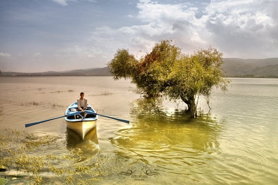 Finansal Okur yazarlığımızı geliştirdiğimize göre;

Bir şeva fotoğrafı ile geceyi noktalayalım 🌙🌃

Güzel bir yarın dilerim...Sevgilerimle..🍀