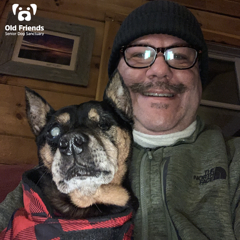 oldfriendssds's tweet photo. FOSTER ALERT!!!
Lil Bit is heading to her Forever Foster home!! One of our own in the medical department just couldn't resist this bundle of love. They are the perfect pair! We have no doubt they will have fun together!
#ofsds #ofsdslilbit #seniordogs #ofsdsfostered #fostered https://t.co/T1iPZXx8M8