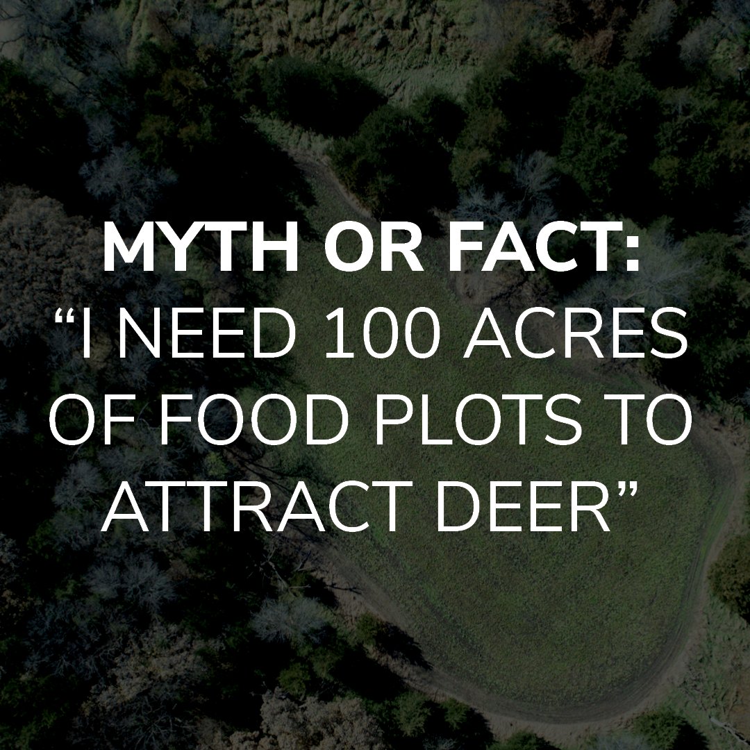 primalfoodplots's tweet photo. MYTH! Quality often outweighs quantity. Even though a destination plot of 10 or more acres helps hold a large amount of deer through the winter, often times a well thought out plot in a smaller portion can be all it takes to keep deer around. 
#PrimalFoodPlots #Deerhunting https://t.co/6HbpQ7g78f