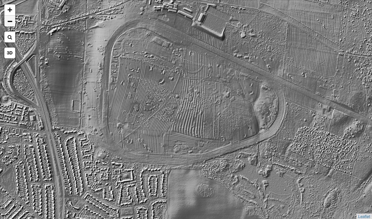 This medieval ridge and furrow preserved in the racecourse at Gosforth Park must be about the best remaining this close to Newcastle.