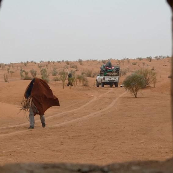 DjerbaE's tweet photo. Agence de voyages Caravane Du Sahara - Ali Desert Ali Douz 
Vous fait découvrir l'originalité du désert.
00216 21 085910
00216 96 740 634
ali@guide-tunisie.voyage
#Djerba #douz #viaggio #djerbahood #instagood #vacances #sahara #nature #Tunisie #tunisia #Tozeur 
#travelagency https://t.co/wvBZkARKIV