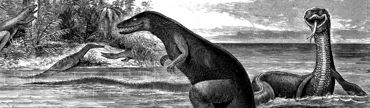 Superior American mosasaur specimens start appearing in earnest in the 1860s, so broad-headed mosasaur art swiftly died out. But instead of modern-grade recons, we get highly serpentine takes, like this chap from 1869 (on the right, behind the tyrannosaur)...