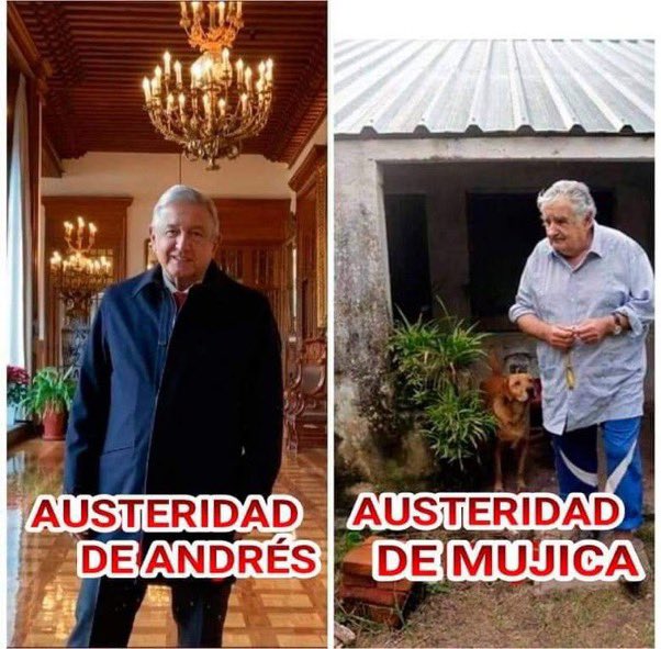 Elianne de Austin tweet media