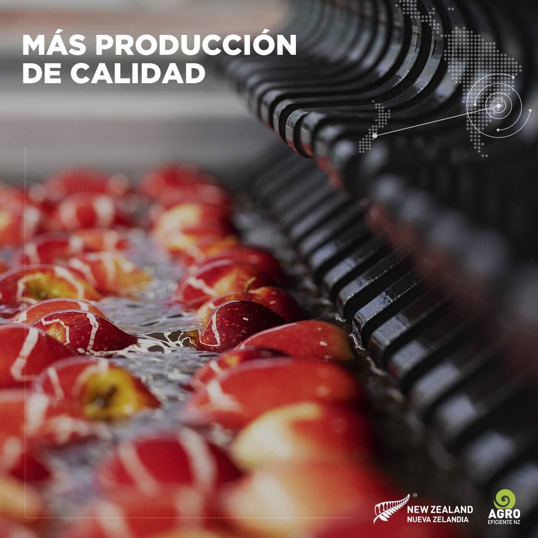 agroeficientenz's tweet photo. Los sectores público y privado de Nueva Zelandia y Uruguay participarán de las Jornadas Agroeficientes NZ+UY, del 📆 23 al 25 de febrero, de forma virtual.

⚠ No te pierdas este encuentro único. 

👉 Inscribite gratis! https://t.co/n7OYB5aTWI

#agritechnz #agroeficientenz https://t.co/kz0wtswtxA