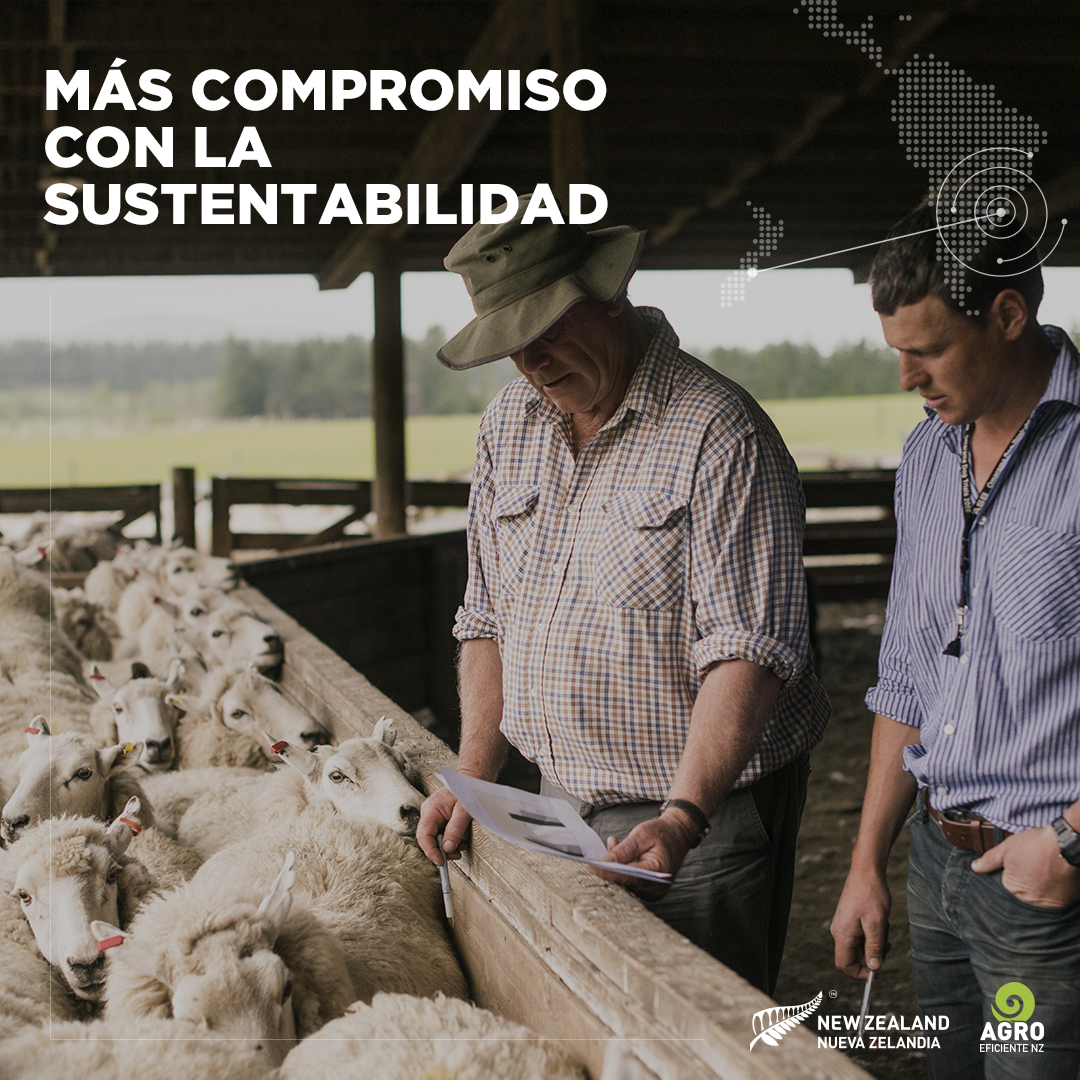 agroeficientenz's tweet photo. Los sectores público y privado de Nueva Zelandia y Uruguay participarán de las Jornadas Agroeficientes NZ+UY, del 📆 23 al 25 de febrero, de forma virtual.

⚠ No te pierdas este encuentro único. 

👉 Inscribite gratis! https://t.co/n7OYB5aTWI

#agritechnz #agroeficientenz https://t.co/kz0wtswtxA