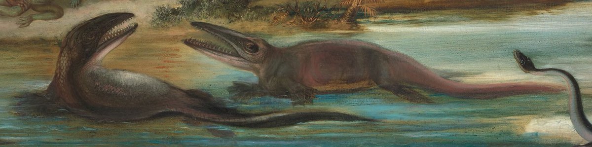 Something resembling a modern mosasaur (some niggles aside) was finally reached in an 1877 Hawkins painting. There may be earlier 'modern' mosasaur artworks out there, but you get the point: it took a long time to start reconstructing mosasaurs, and even longer to get them right!