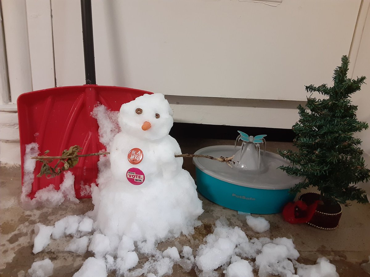 My cat needed a snowman...