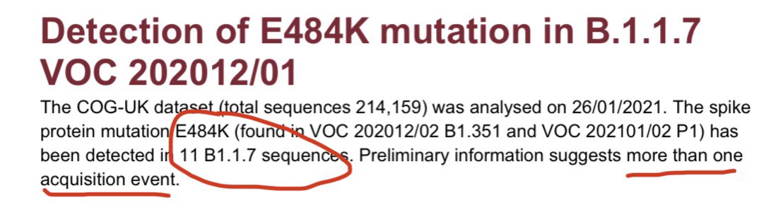 NOT GOOD—so it seems  government researchers have discovered that the already more contagious  #B117 has further acquired the other troublesome E484K mutation seen in  #B1351 &  #P1 variants—in 11 patients. E484k is blamed for partial vaccine-evasion. https://assets.publishing.service.gov.uk/government/uploads/system/uploads/attachment_data/file/957504/Variant_of_Concern_VOC_202012_01_Technical_Briefing_5_England.pdf