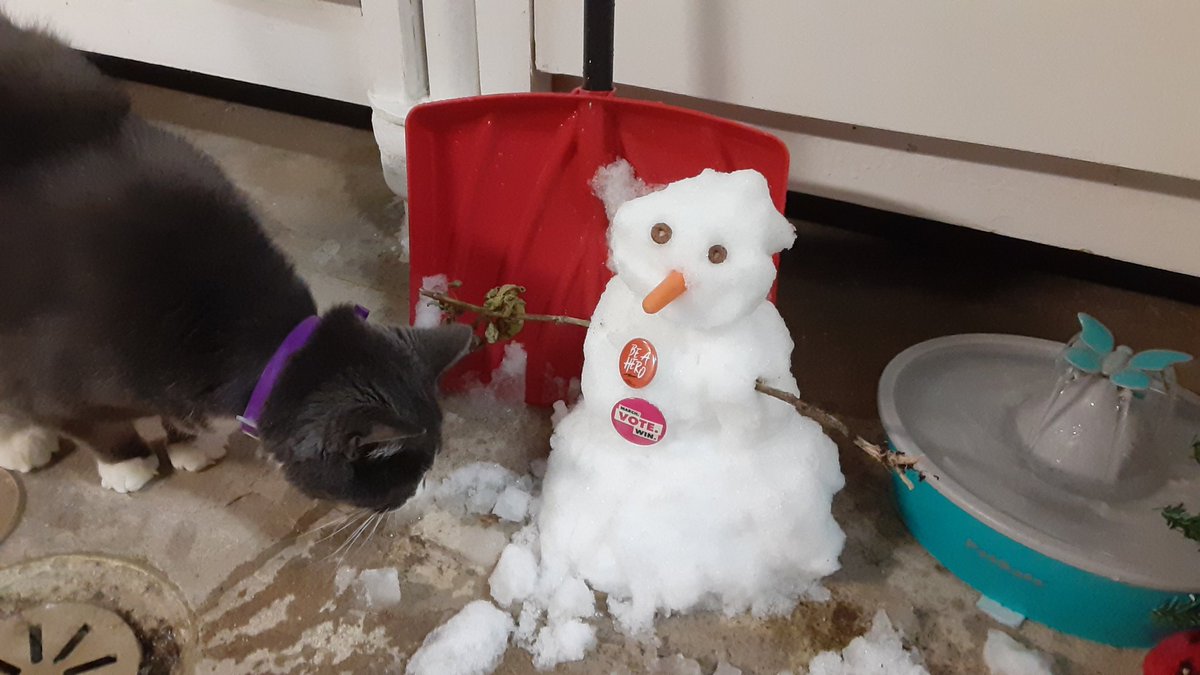 Ted's first snowman
#CatsOfTwitter