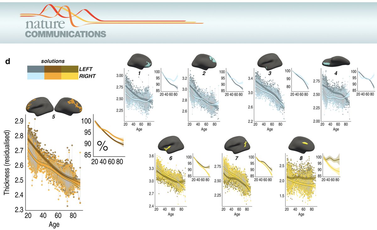 James Michael Roe (@james_m_roe) on Twitter photo Proud to say my second PhD paper is out today in <a href="/NatureComms/">Nature Communications</a>!
doi.org/10.1038/s41467…
Forever thankful to all who made it possible <a href="/LCBC_UiO/">LCBC - UiO</a> @RenWesterhause1 <a href="/VidalDidac/">Didac Vidal Pineiro</a> <a href="/LifebrainEU/">Lifebrain</a> (1/8)
👇 Proud to say my second PhD paper is out today in <a href="/NatureComms/">Nature Communications</a>!
doi.org/10.1038/s41467…
Forever thankful to all who made it possible <a href="/LCBC_UiO/">LCBC - UiO</a> @RenWesterhause1 <a href="/VidalDidac/">Didac Vidal Pineiro</a> <a href="/LifebrainEU/">Lifebrain</a> (1/8)
👇