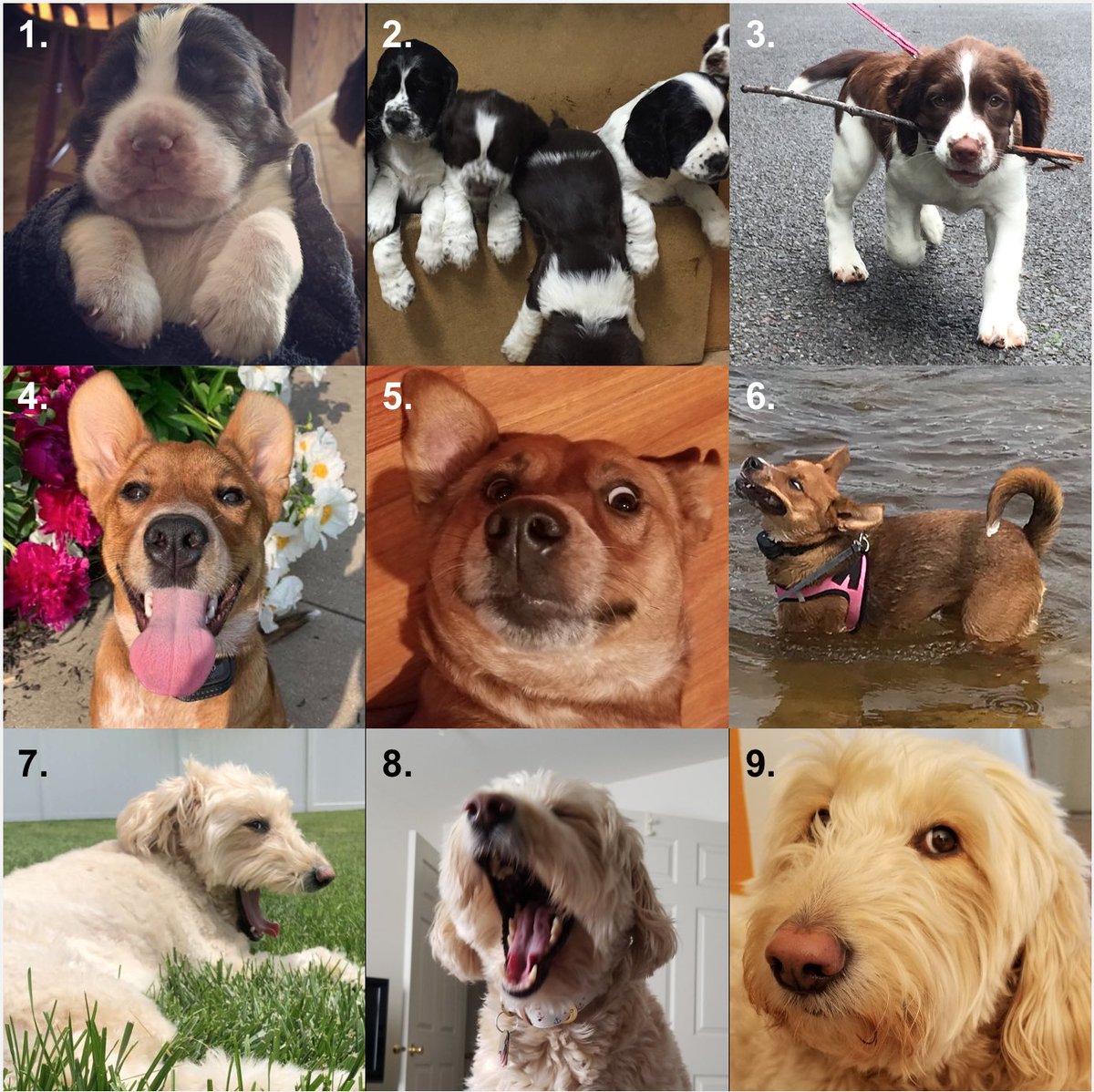 Lauren Rossiter (@LaurenMRossiter) | Twitter