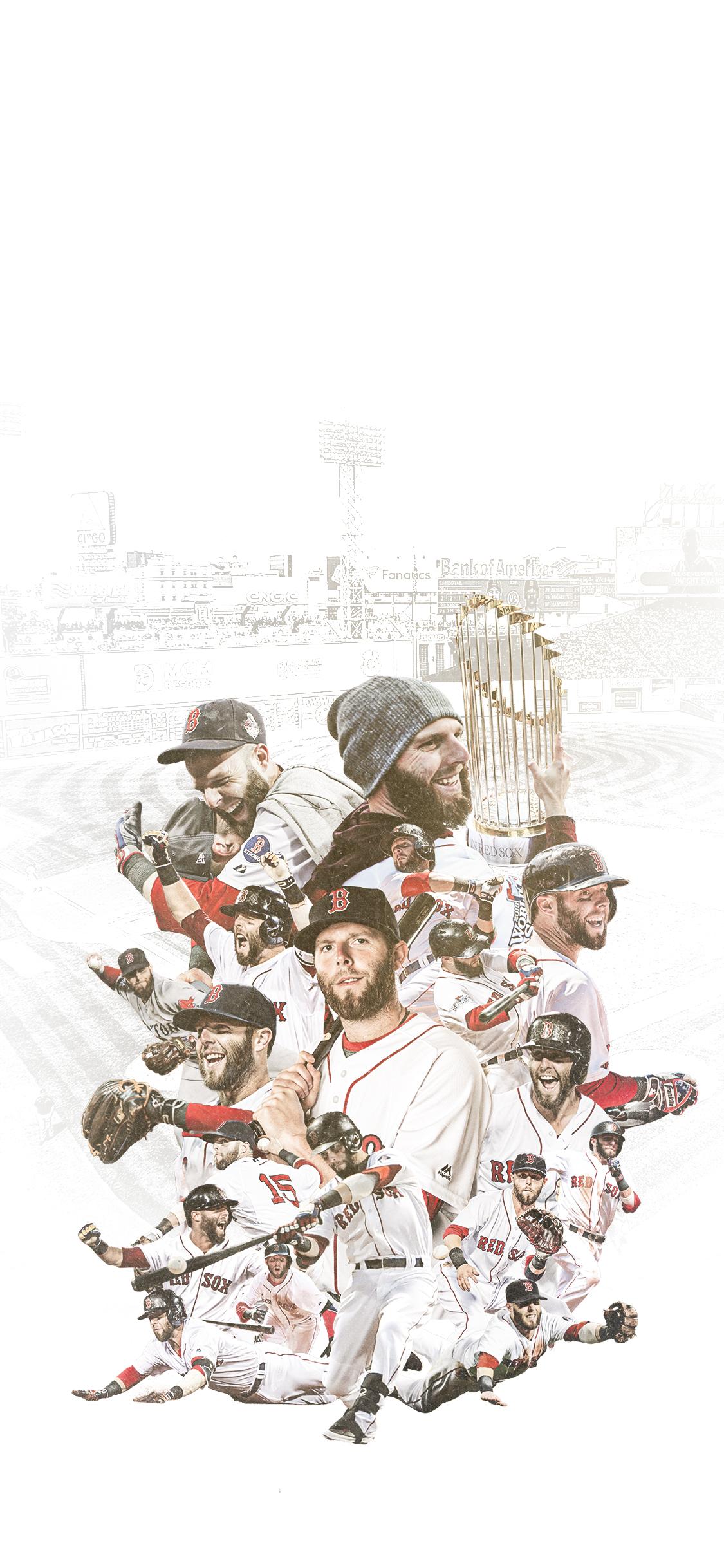 wallpaper dustin pedroia